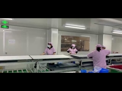 55インチWiFi接続デジタルブラックボード 教えるための スピーカー内蔵